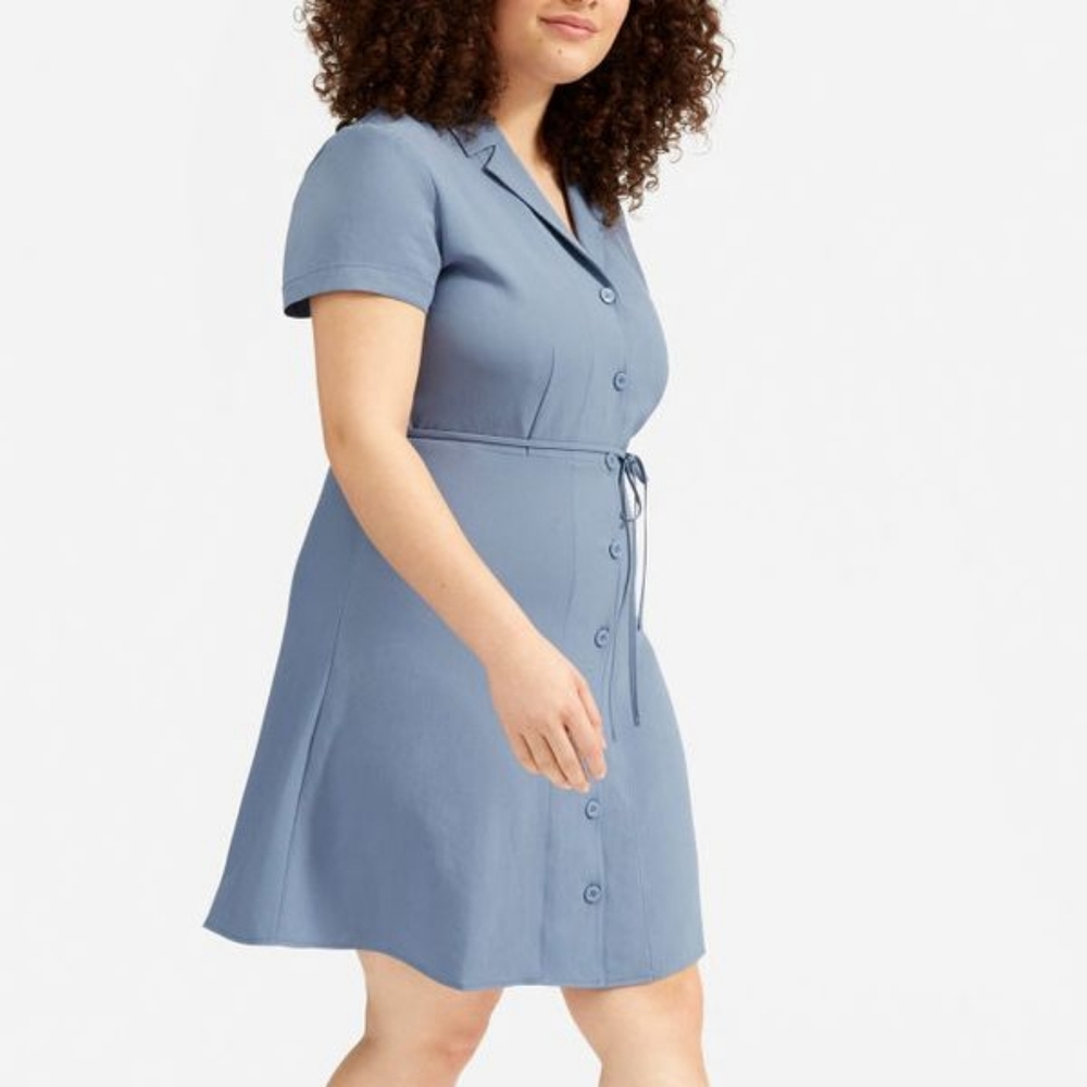 Everlane Blue Mini Dress Collared Blue